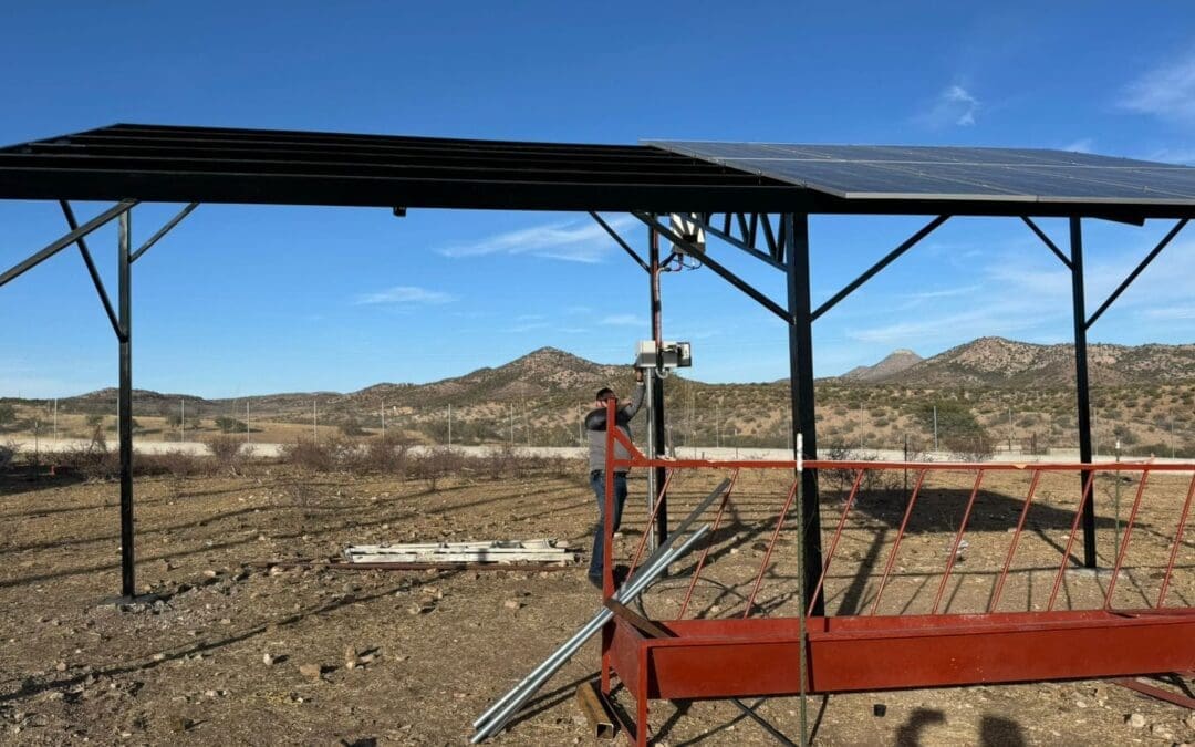 Lanza Estado apoyos para modernizar unidades pecuarias 