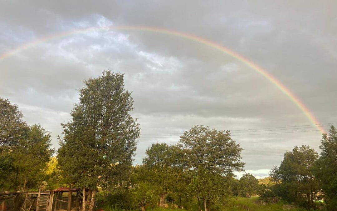 Pronostican lluvias y torbellinos para esta semana en el Estado