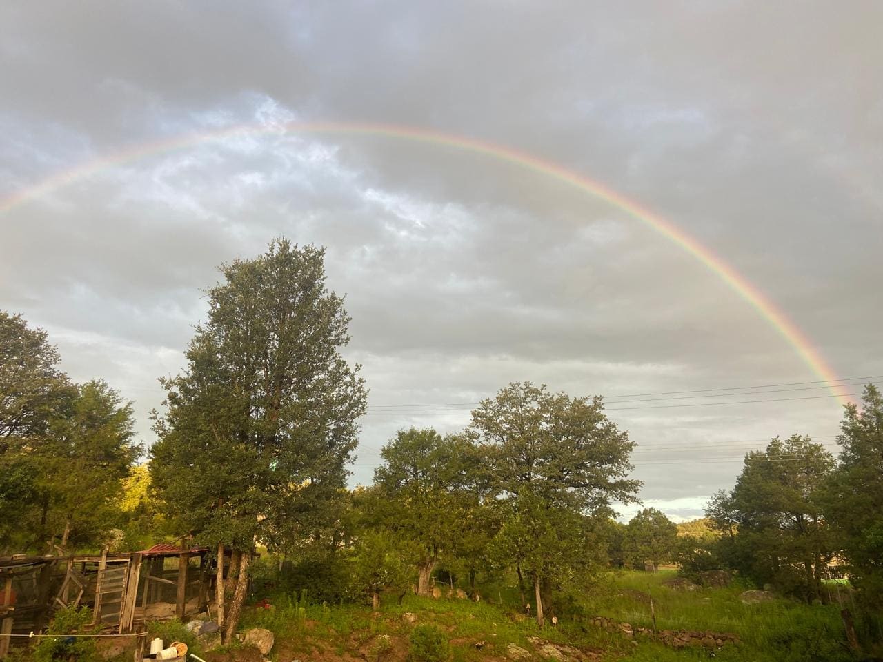 WhatsApp Image 2025-06-09 at 12.56.53 PM