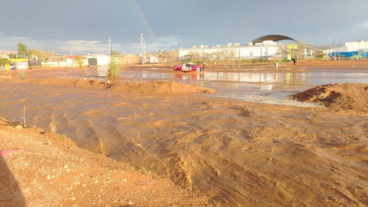 WhatsApp Image 2025-06-30 at 9.22.46 AM