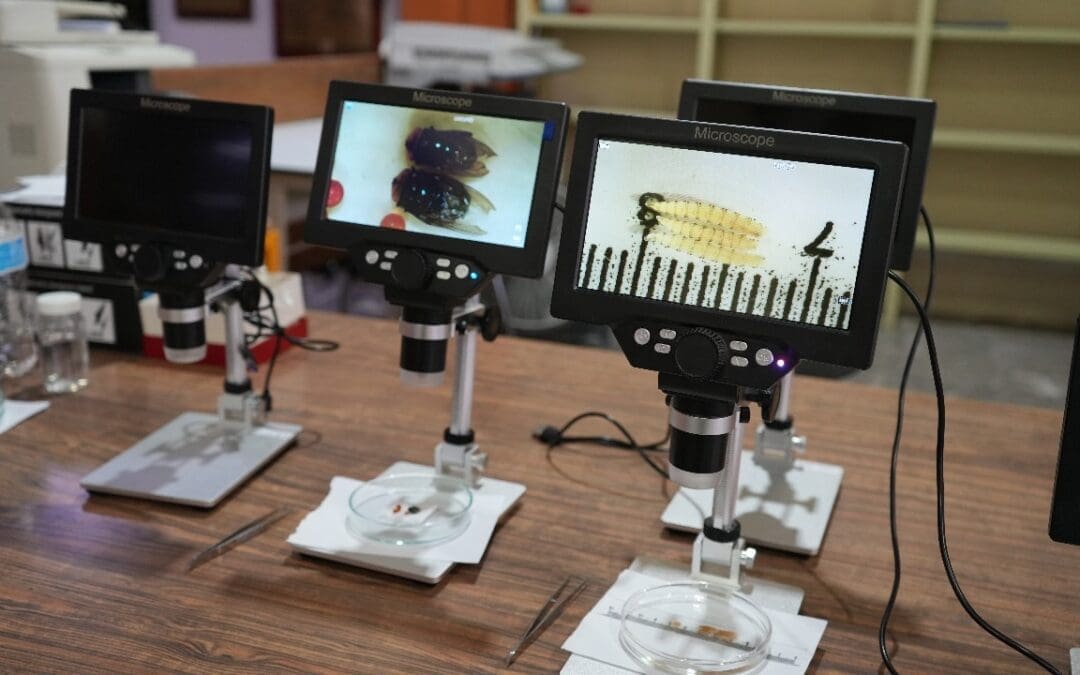 Capacitan a especialistas chihuahuenses contra el gusano barrenador en simulacro nacional