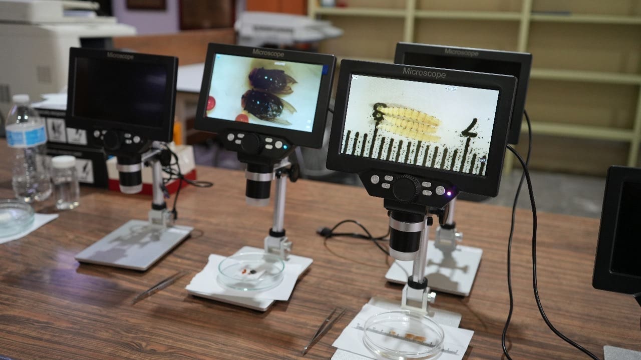 d3ca9c60-3252-4926-8965-6e9075d854c9