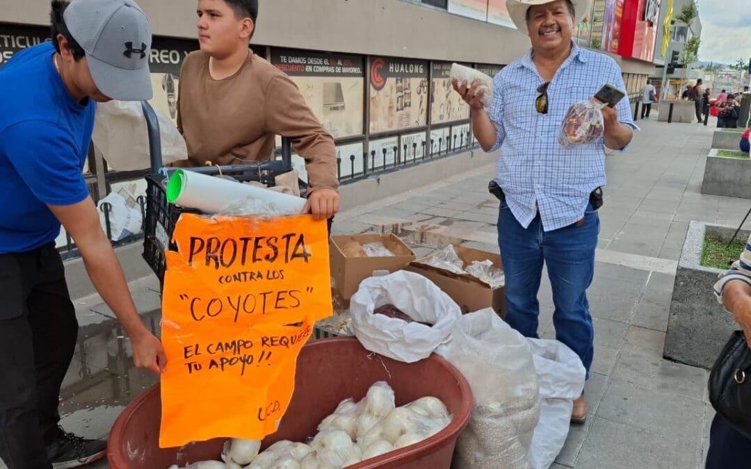 Venden productos del campo directamente del productor al consumidor, frente a Catedral