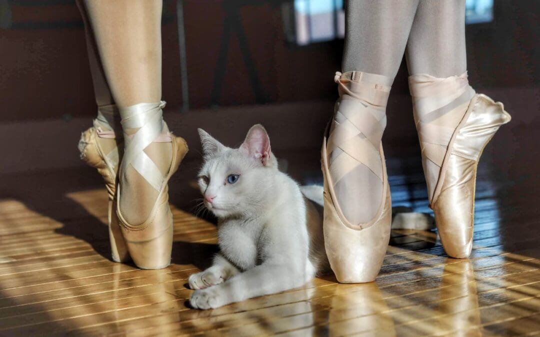 Facultad de Artes de la UACH, invita a estudiar sus carreras