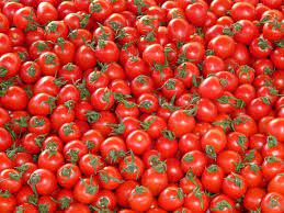 El tomate tiene múltiples aplicaciones medicinales