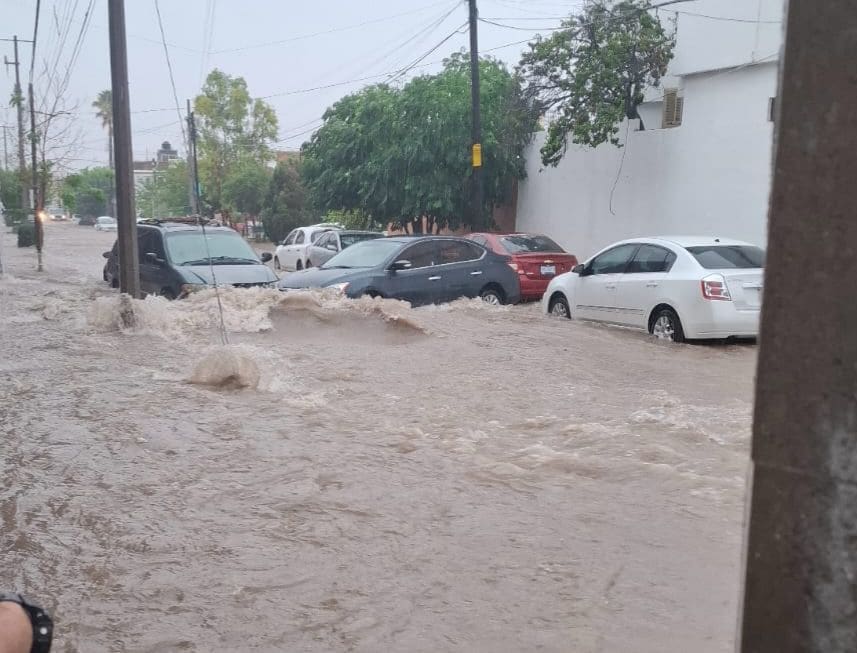 WhatsApp Image 2025-06-30 at 6.39.22 PM