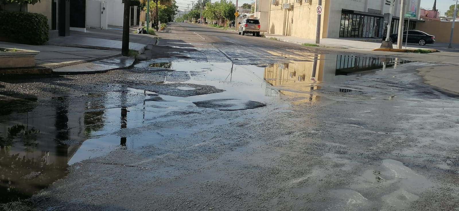 WhatsApp Image 2025-07-21 at 8.48.41 AM