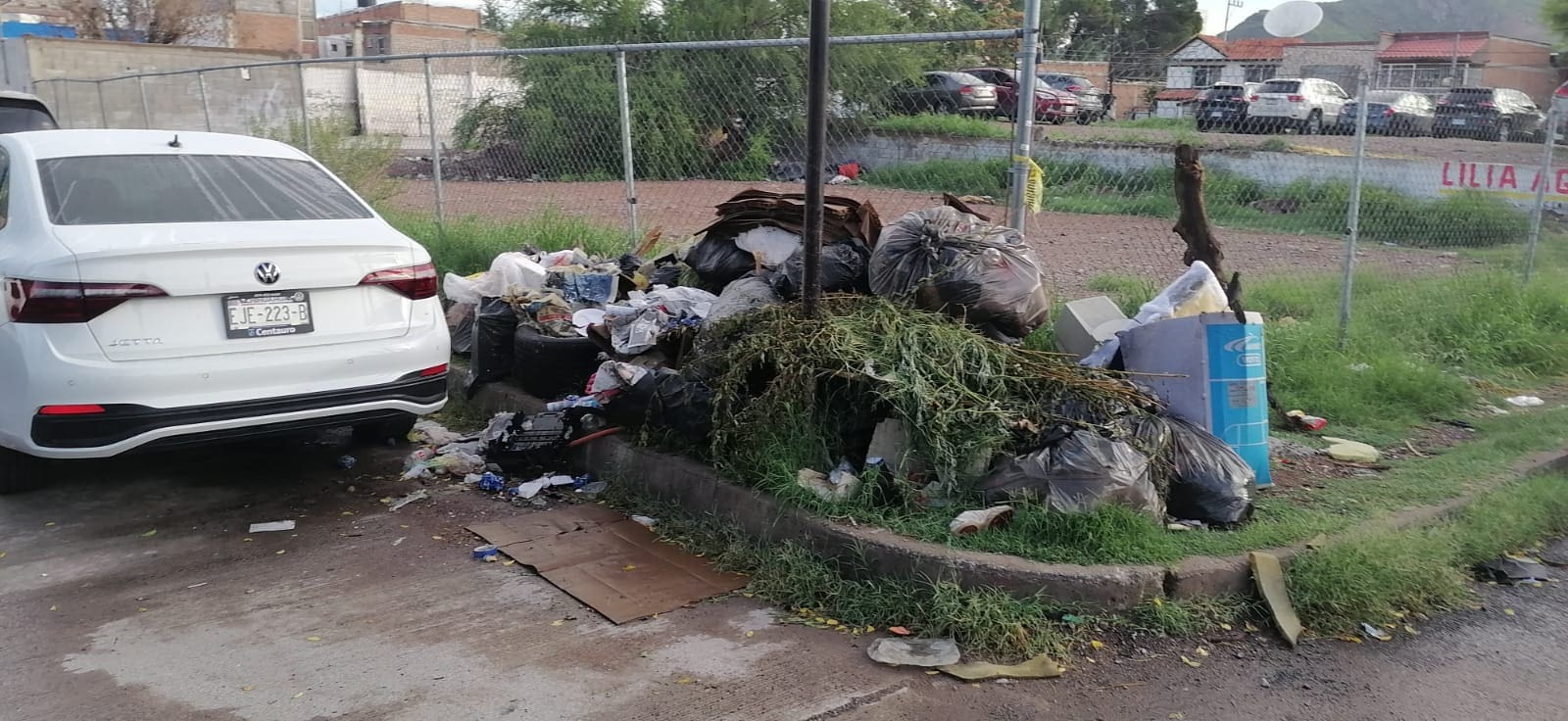 WhatsApp Image 2025-07-22 at 8.02.47 AM