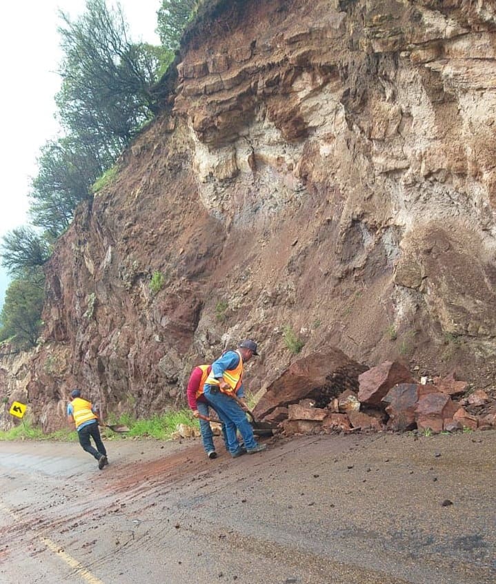 WhatsApp Image 2025-07-30 at 11.19.24 AM