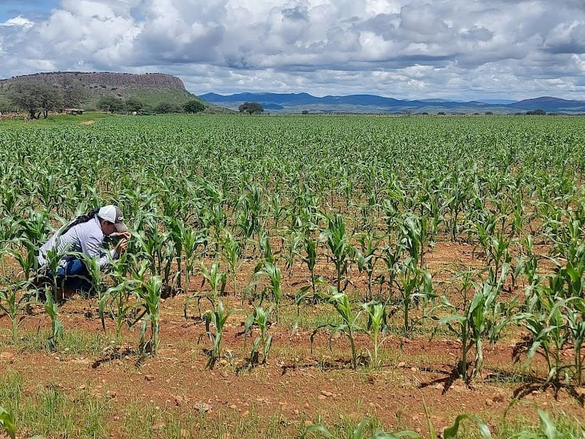 d1cd2b4c-0df0-4b1c-87bc-f06e58bc35a0