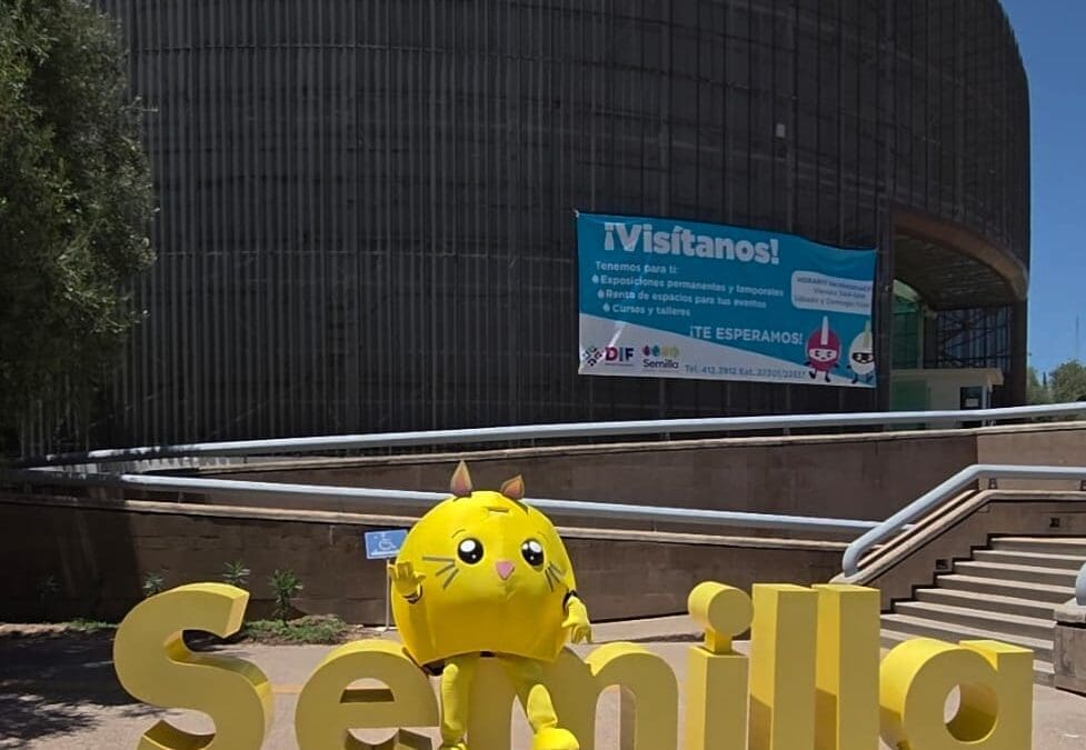 Invitan al Festival “Gatitos en el Museo”, este viernes en el Semilla