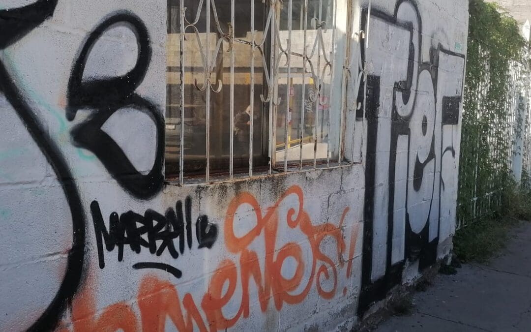 Proliferación grafitti en locales de la zona centro