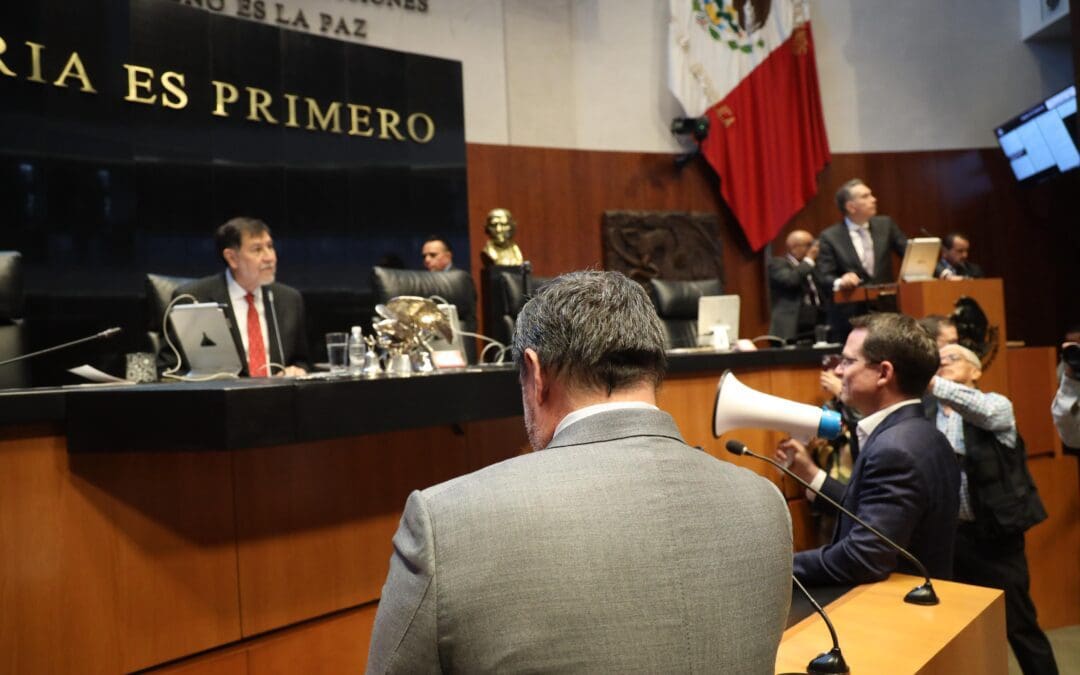 Señala Andrea Chávez a Senadores del PAN de «hacer un circo» en la Cámara Alta