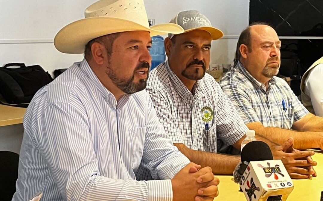 Ganado perdió 30% su valor en el mercado por cierre de frontera: SDR