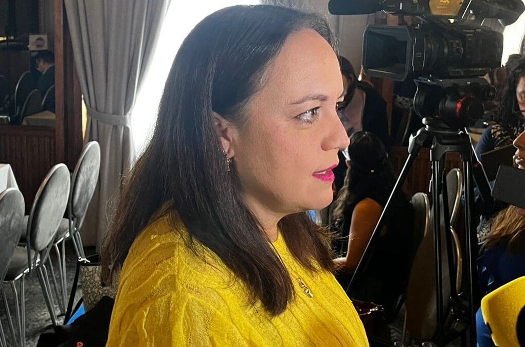 Urge SIPINNA a intensificar la prevención de delitos digitales en menores de edad