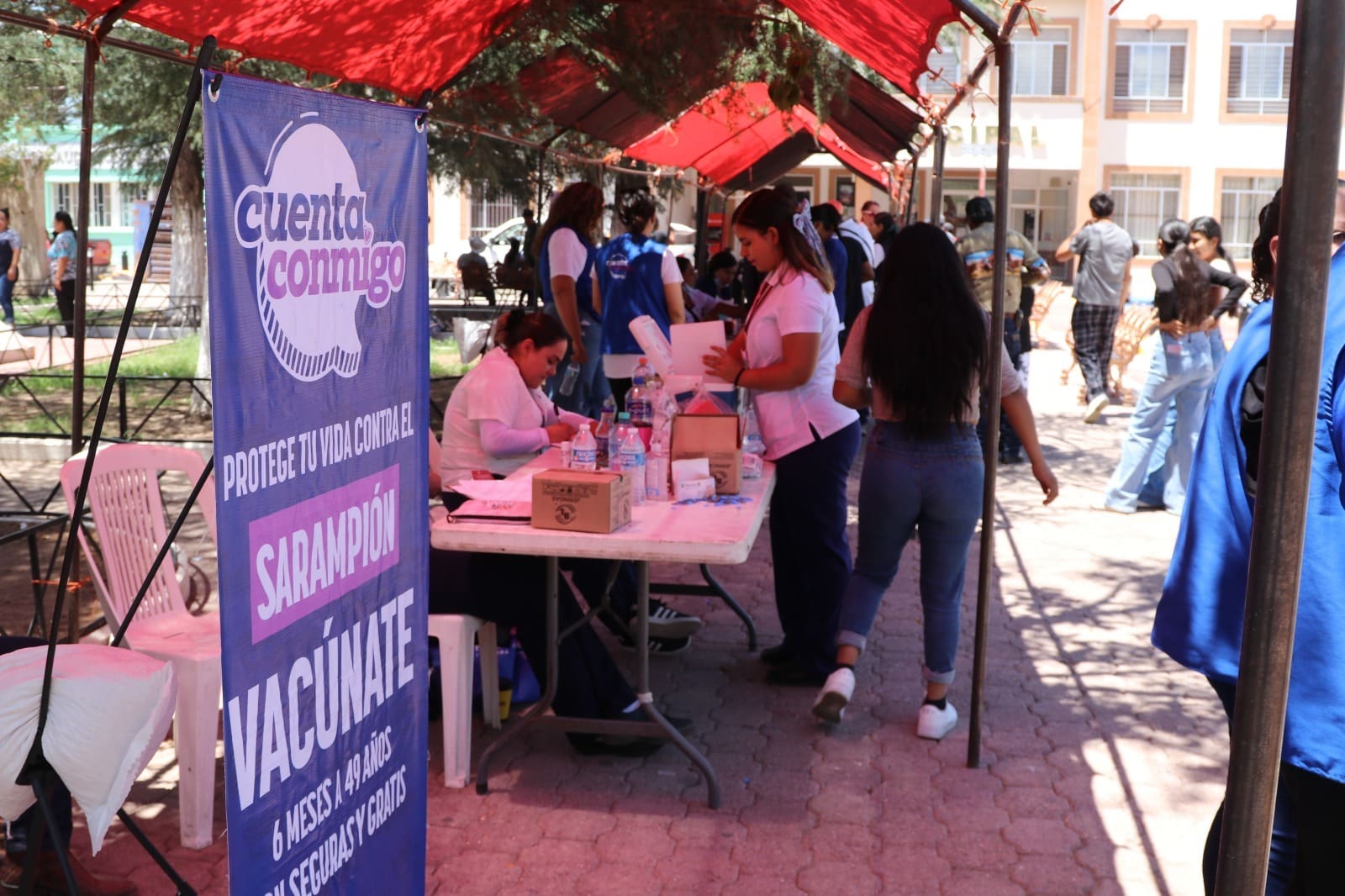 WhatsApp Image 2025-08-14 at 11.22.08 AM