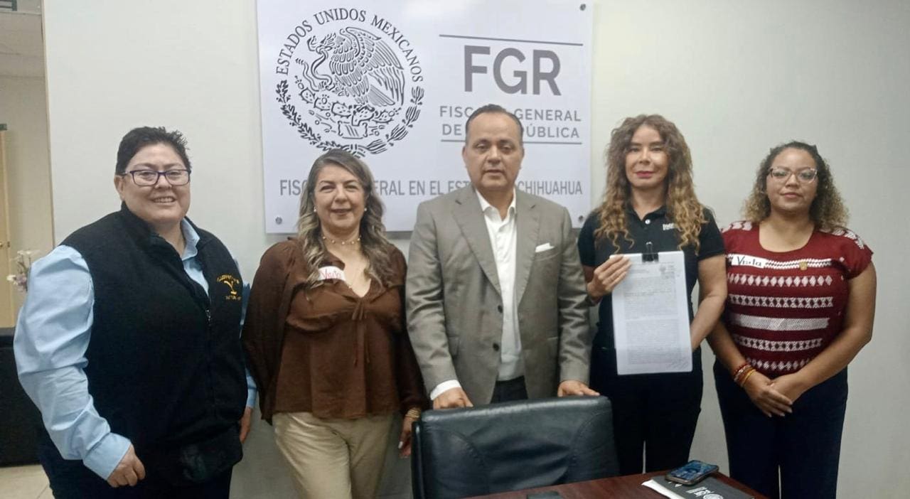 WhatsApp Image 2025-08-20 at 2.42.33 PM