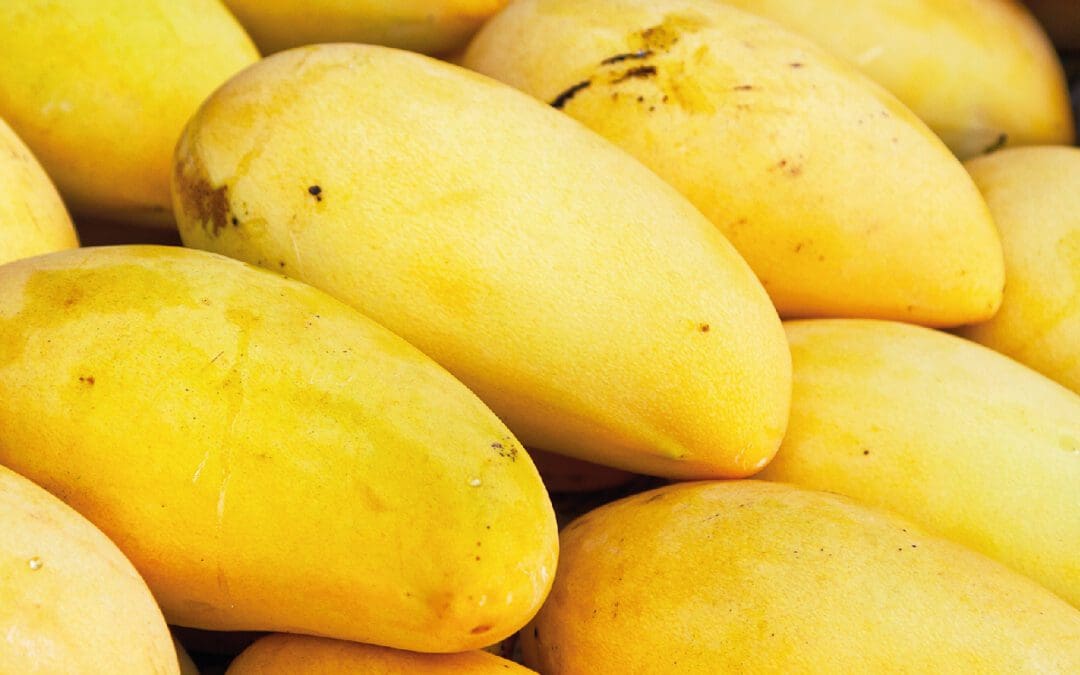 El mango, ayuda a combatir la anemia