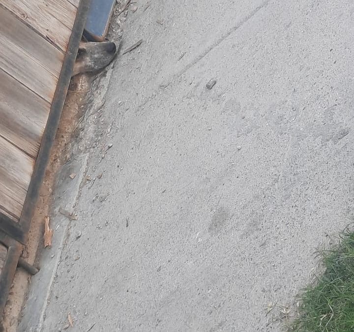 (Reporte Ciudadano) Vecinos de Los Nogales denuncian malos olores por presunto maltrato e insalubridad en domicilio