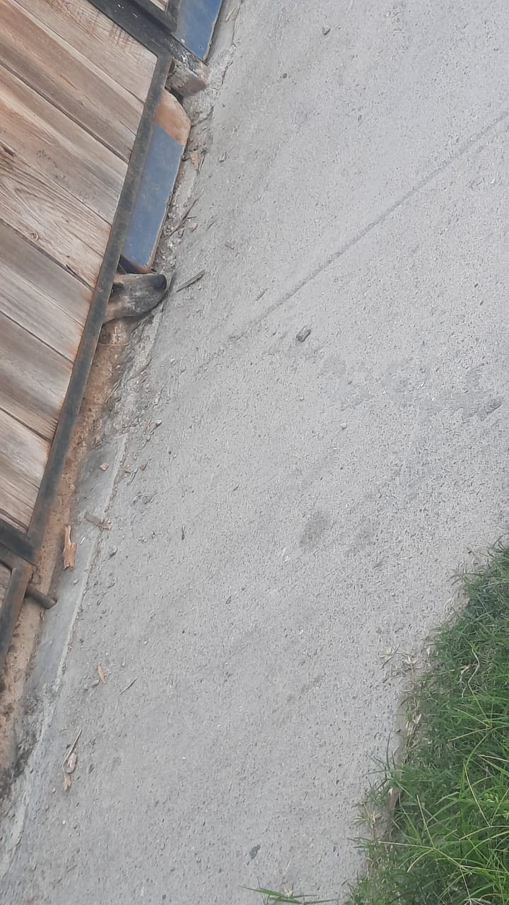 17714e8d-f511-4b21-9bb6-78ba2b0aa20a