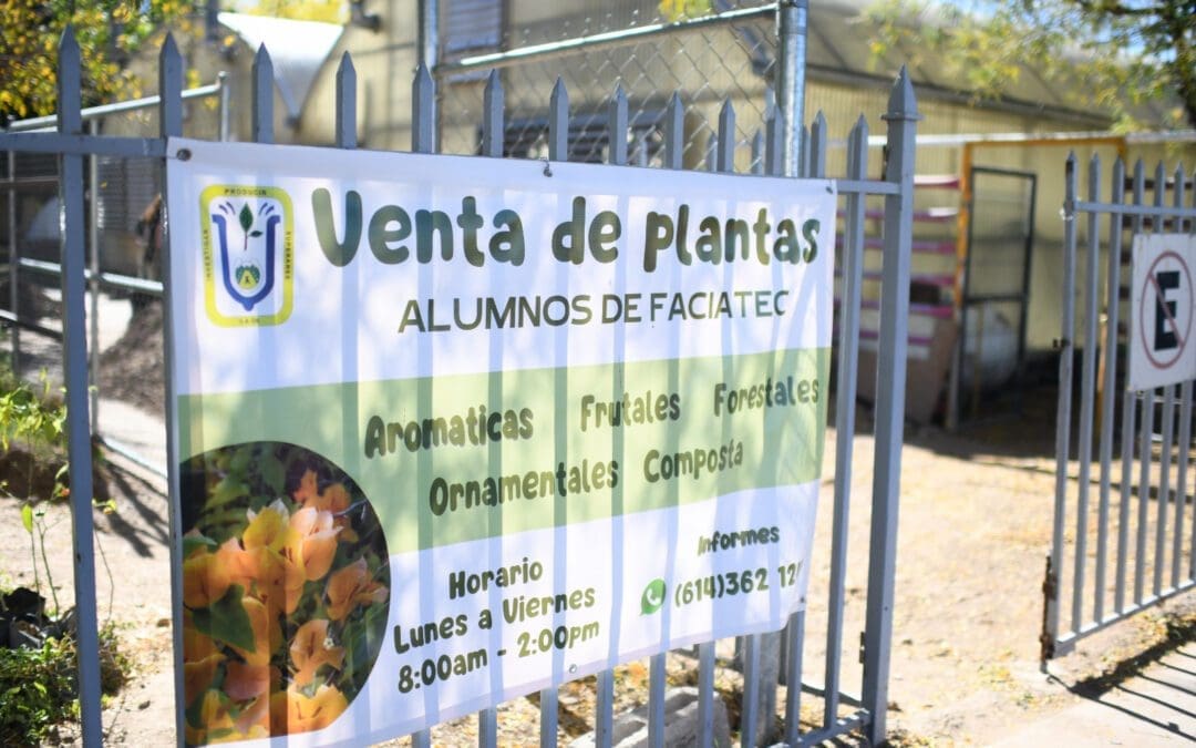FACIATEC-UACH ofrece venta de plantas y servicio de jardinería en su vivero