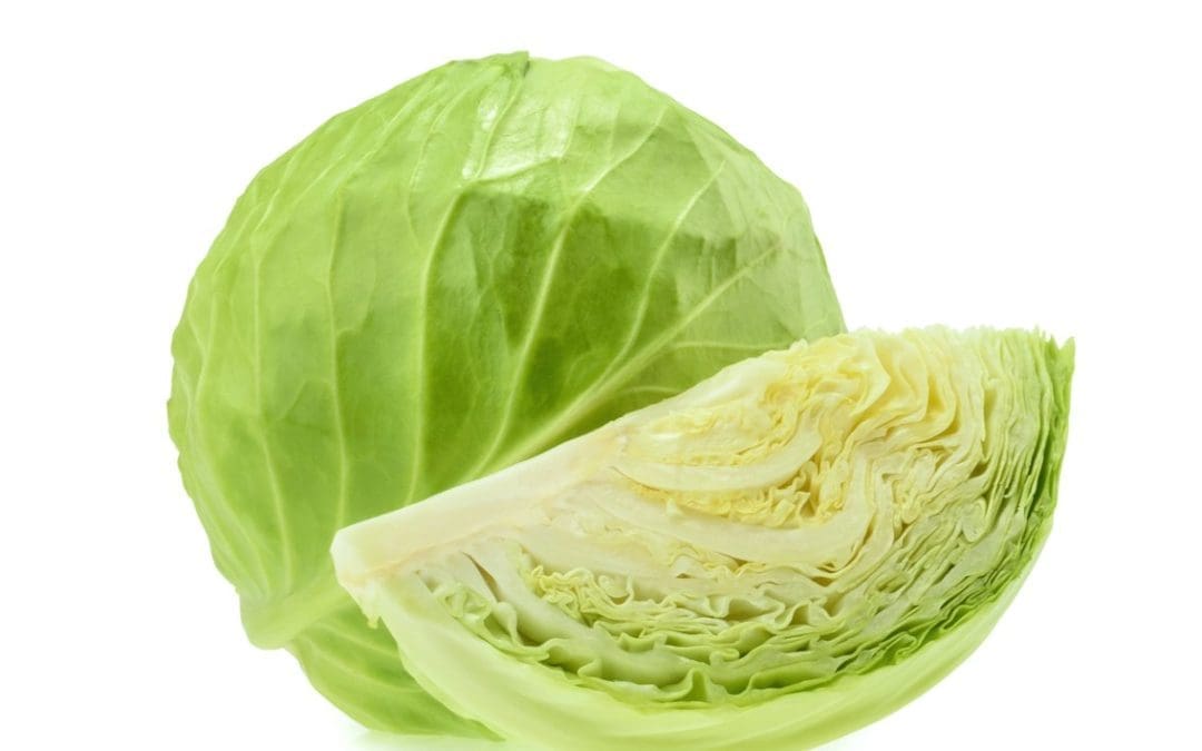 El repollo, ayuda a reducir cánceres de carácter hormonal, y cólon