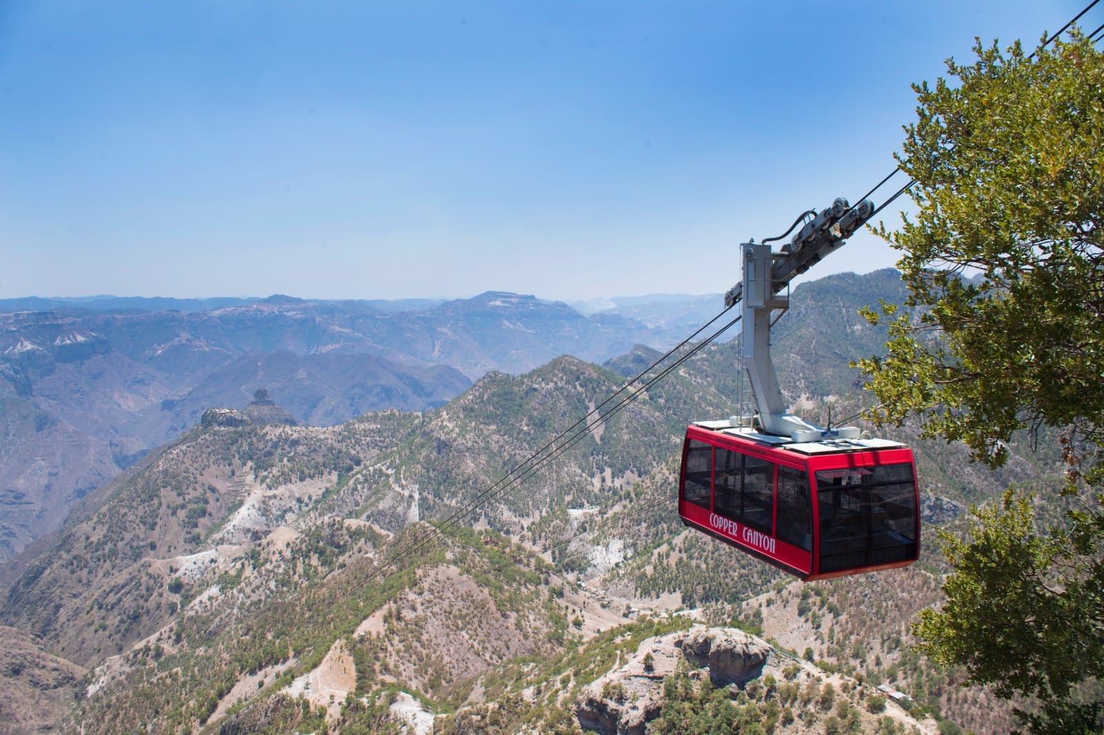 WhatsApp Image 2025-09-02 at 2.14.58 PM