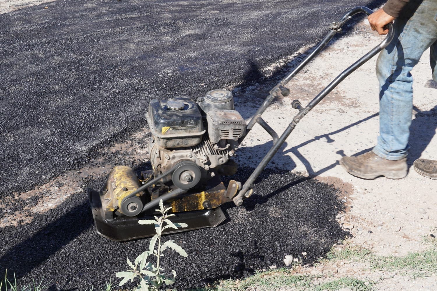 WhatsApp Image 2025-09-12 at 6.38.35 PM