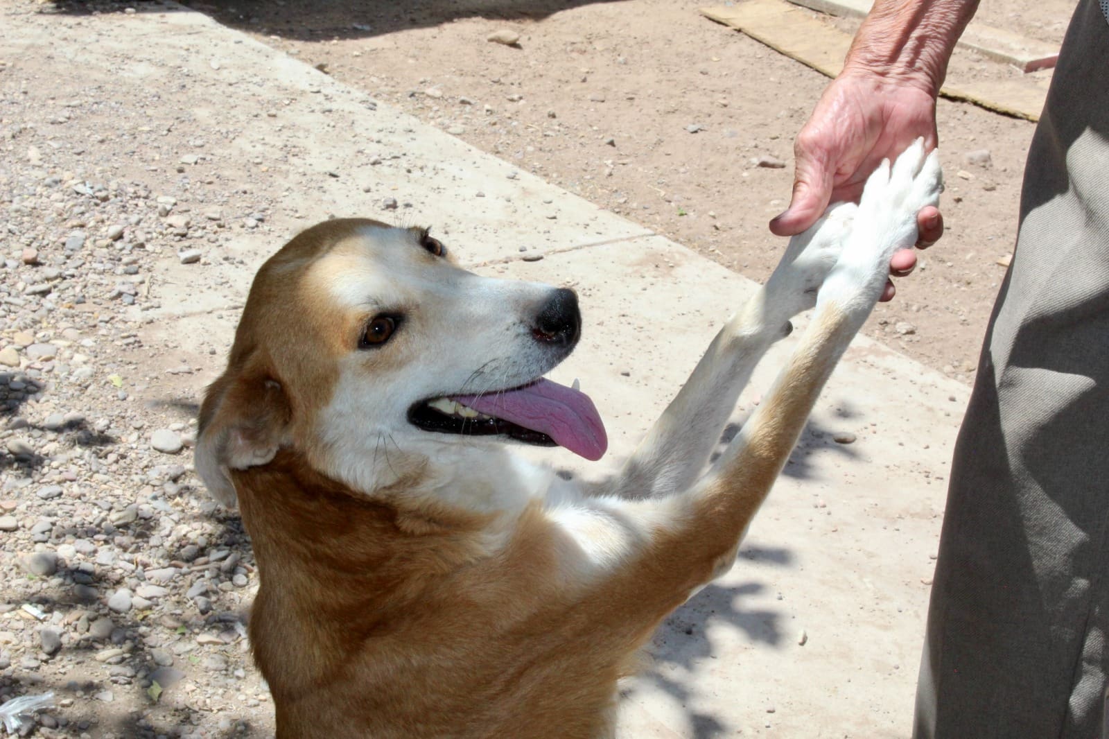 WhatsApp Image 2025-09-15 at 12.13.34 PM