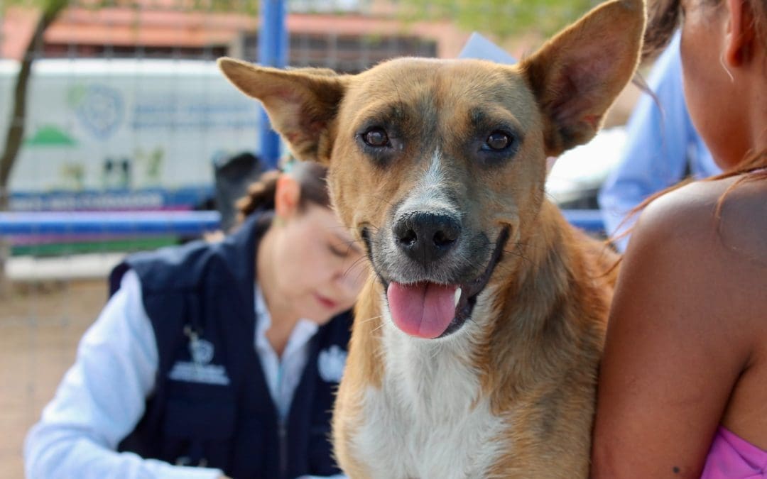 Llevarán Esterimóvil a Chihuahua 2000