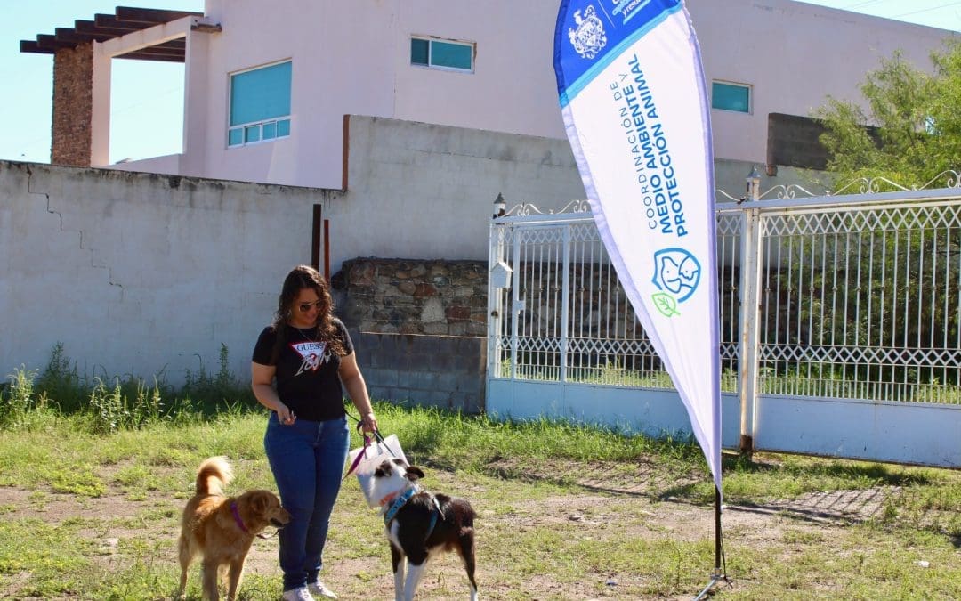 Aplican más de 500 servicios a mascotas de Labor de Terrazas