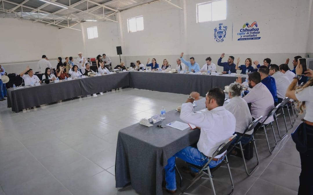Aprueba convocatoria para renovar Consejo de Participación Ciudadana