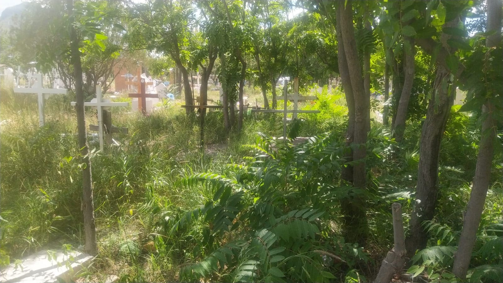 WhatsApp Image 2025-09-25 at 10.23.23 AM