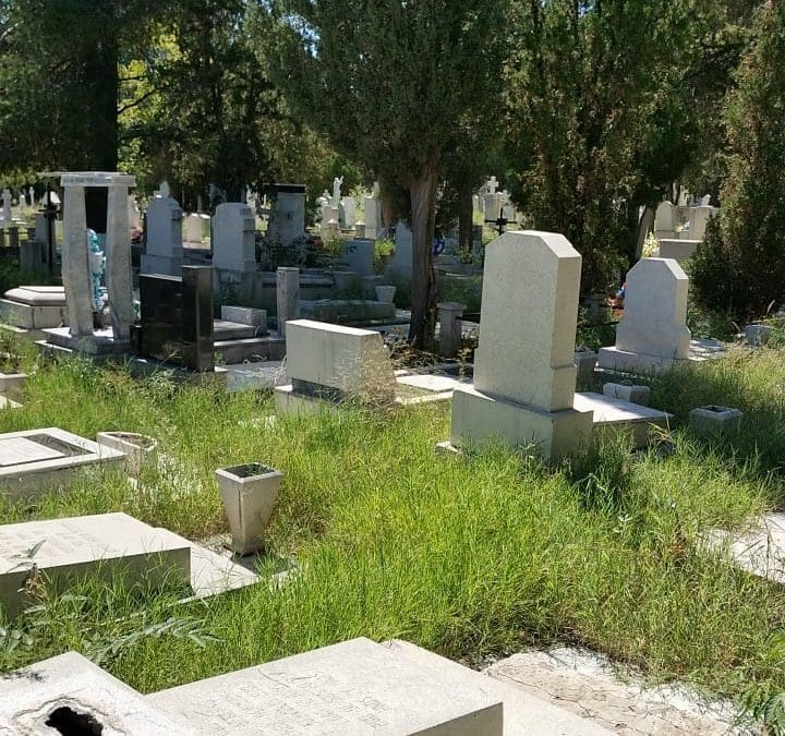 [Reporte Ciudadano] Denuncian abandono en el Panteón de Dolores