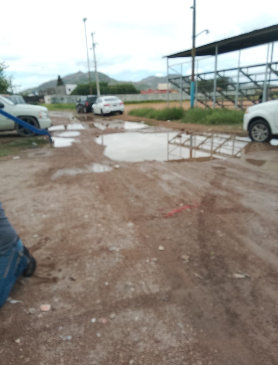 WhatsApp Image 2025-10-01 at 2.05.02 PM