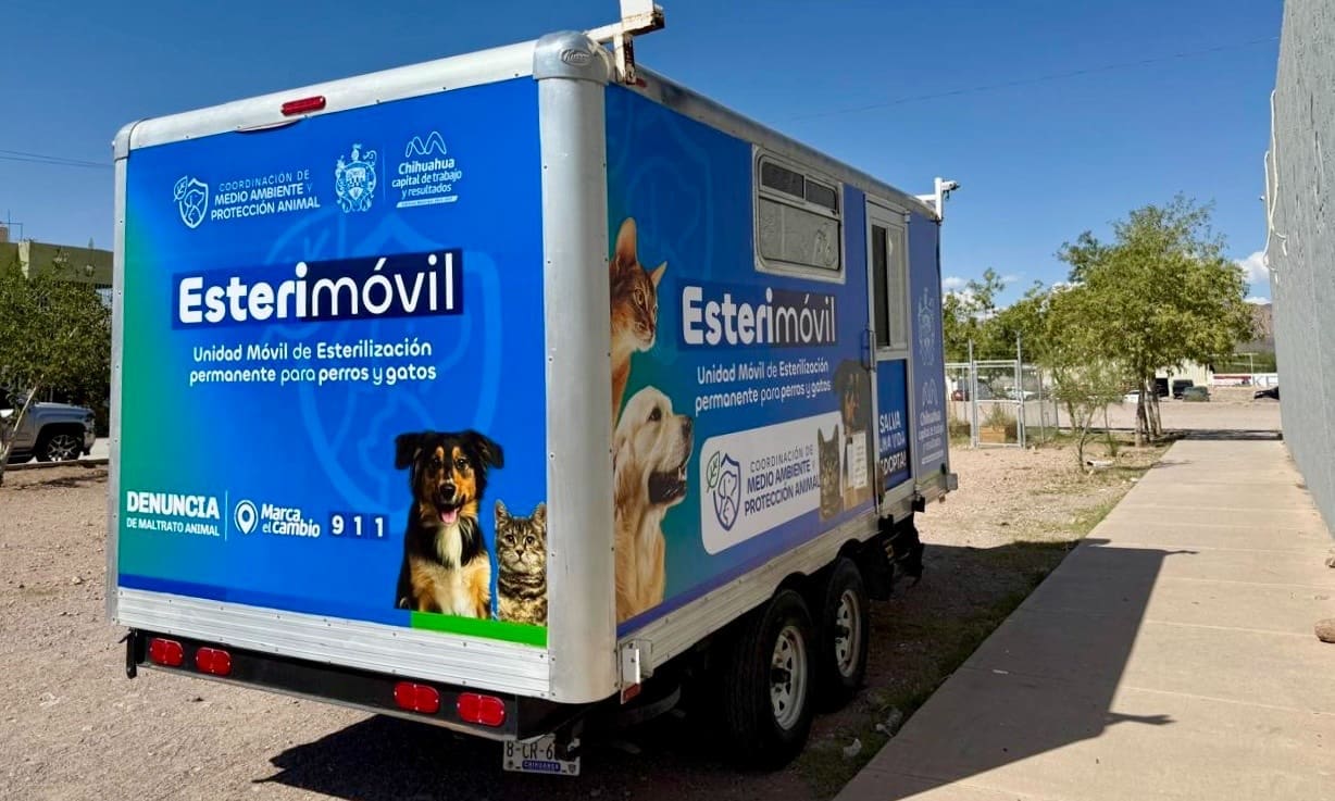 WhatsApp Image 2025-10-02 at 11.29.34 AM