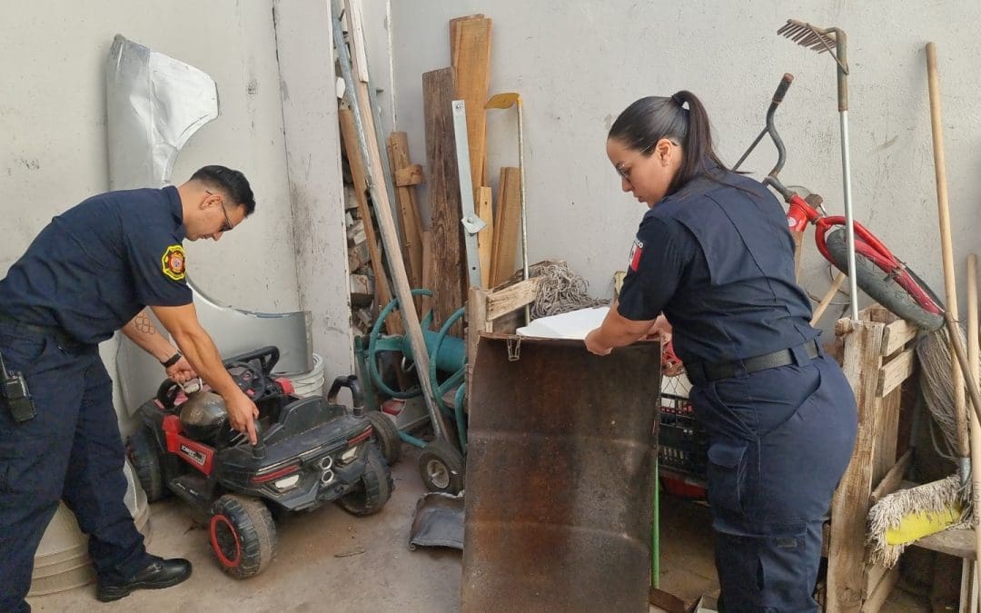 ¡Cuidado! Llega temporada de animales ponzoñosos