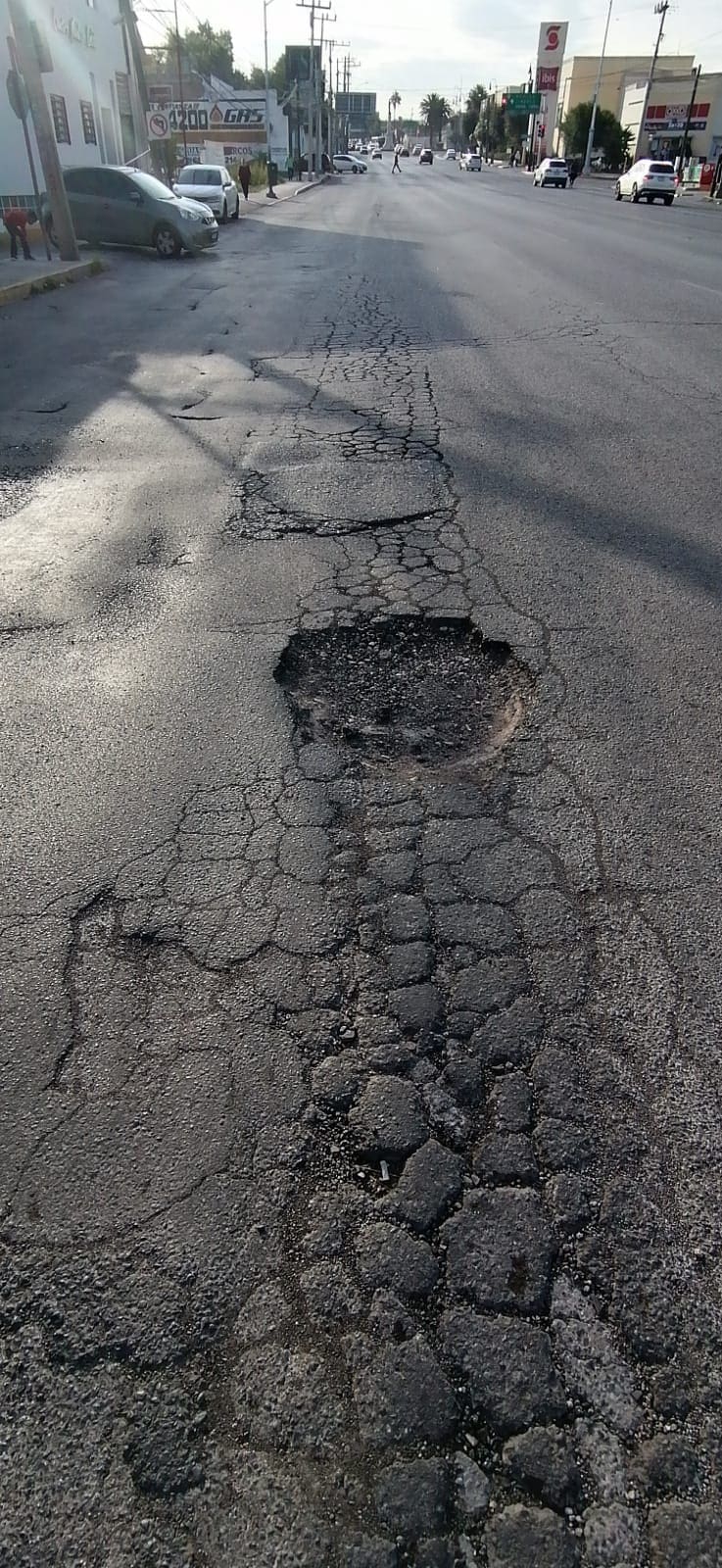 WhatsApp Image 2025-10-06 at 8.44.30 AM