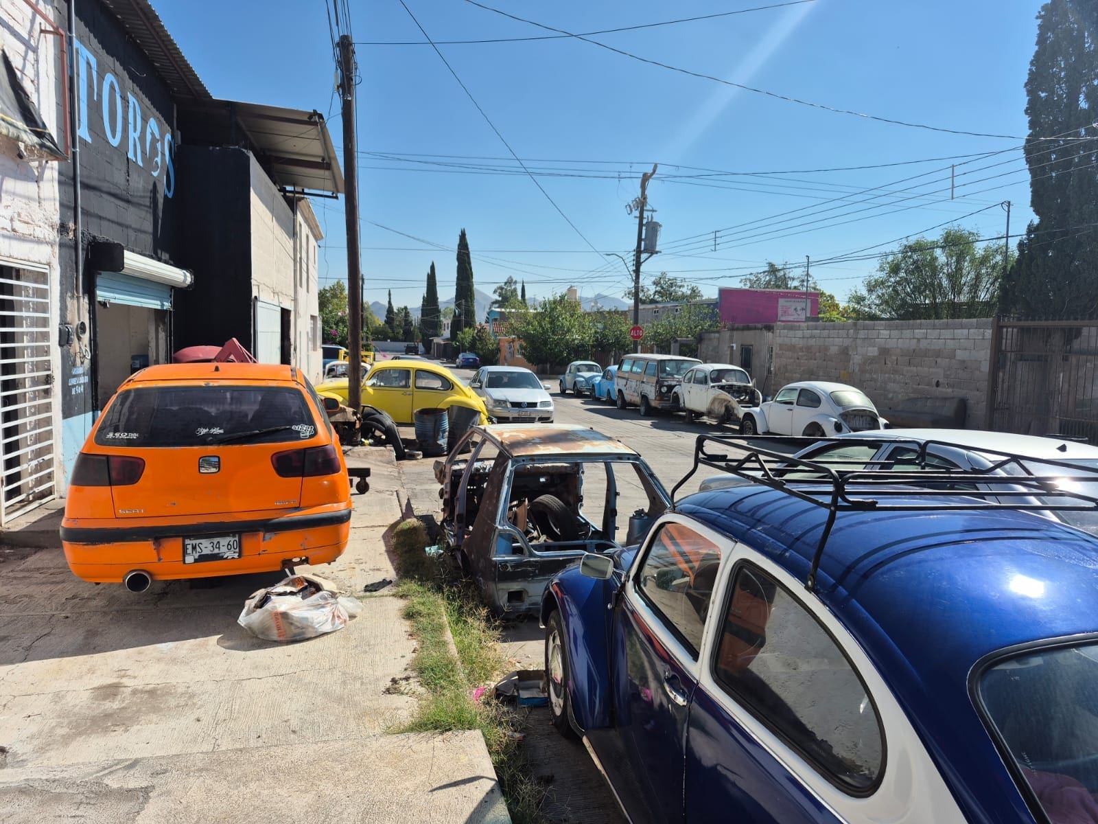 WhatsApp Image 2025-10-08 at 8.24.44 AM