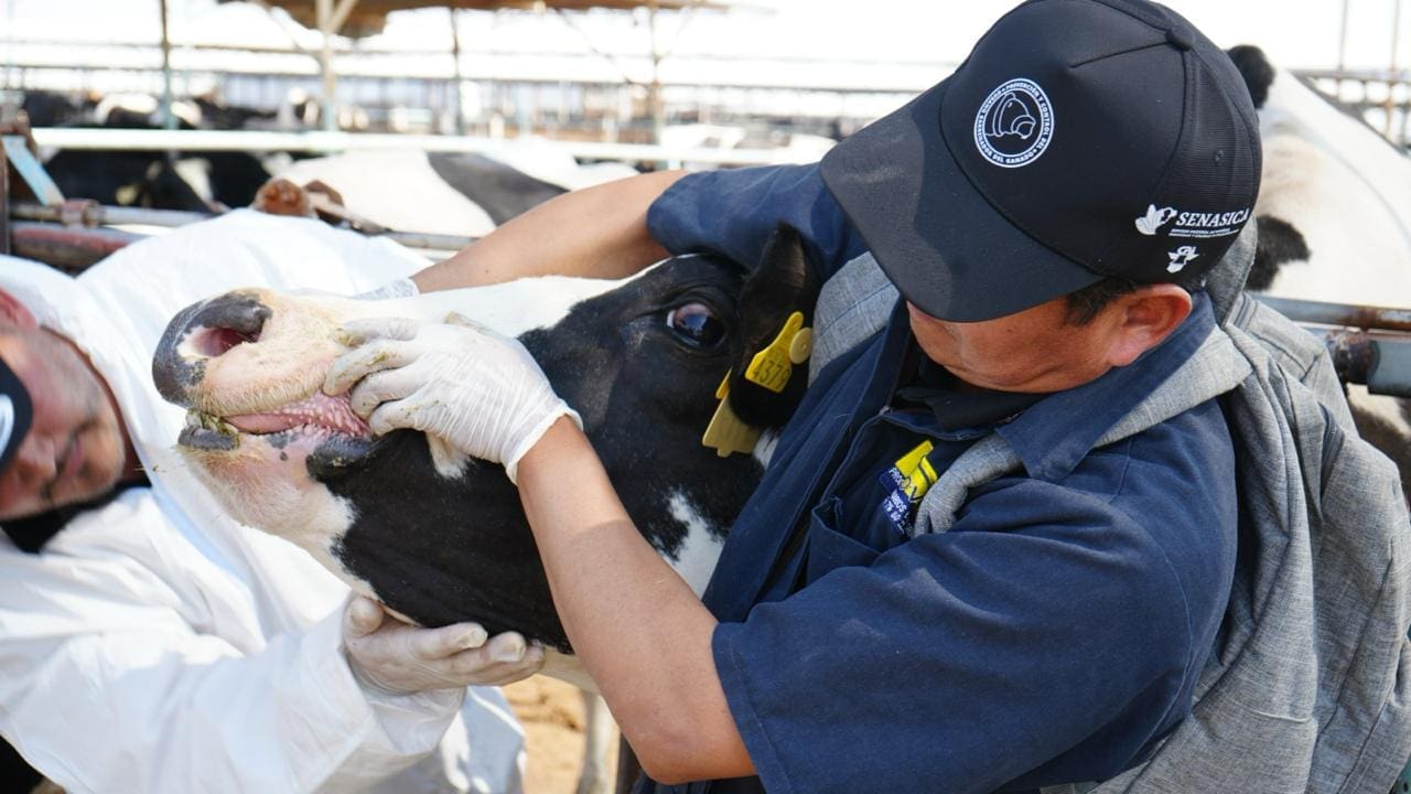 WhatsApp Image 2025-10-09 at 10.29.25 AM