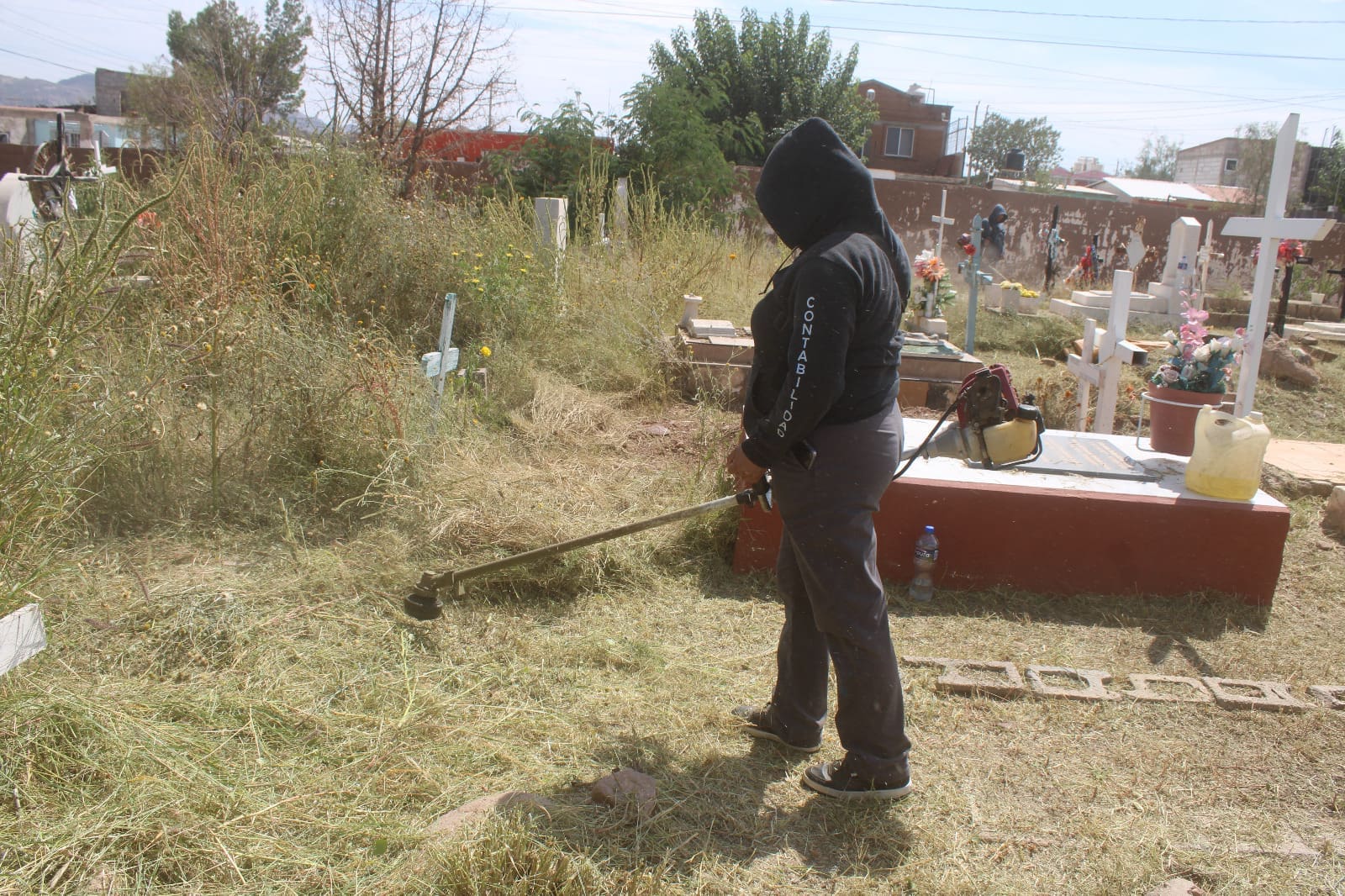 WhatsApp Image 2025-10-09 at 11.16.43 AM