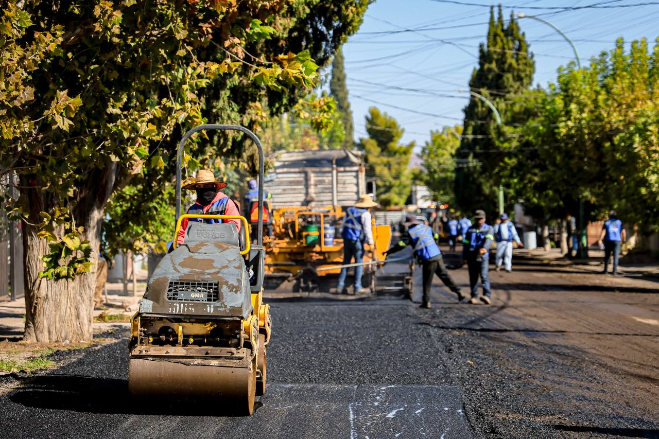 WhatsApp Image 2025-10-15 at 2.04.38 PM