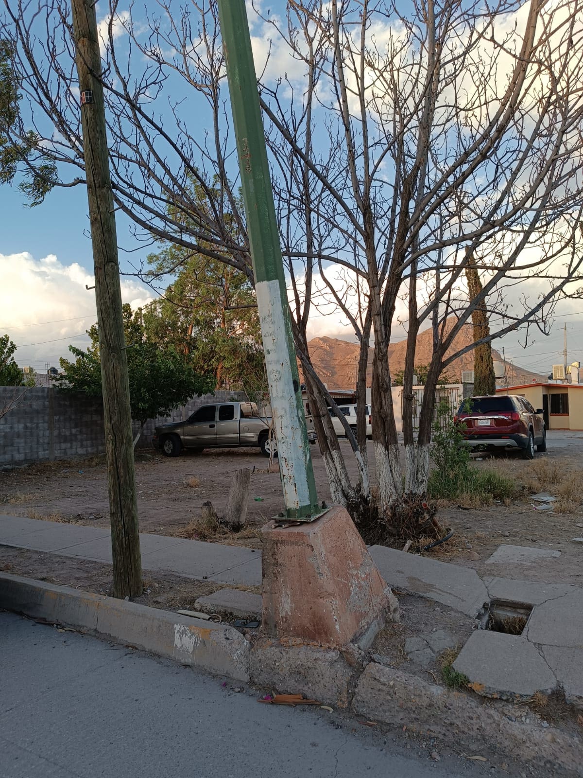 WhatsApp Image 2025-10-15 at 9.35.32 AM