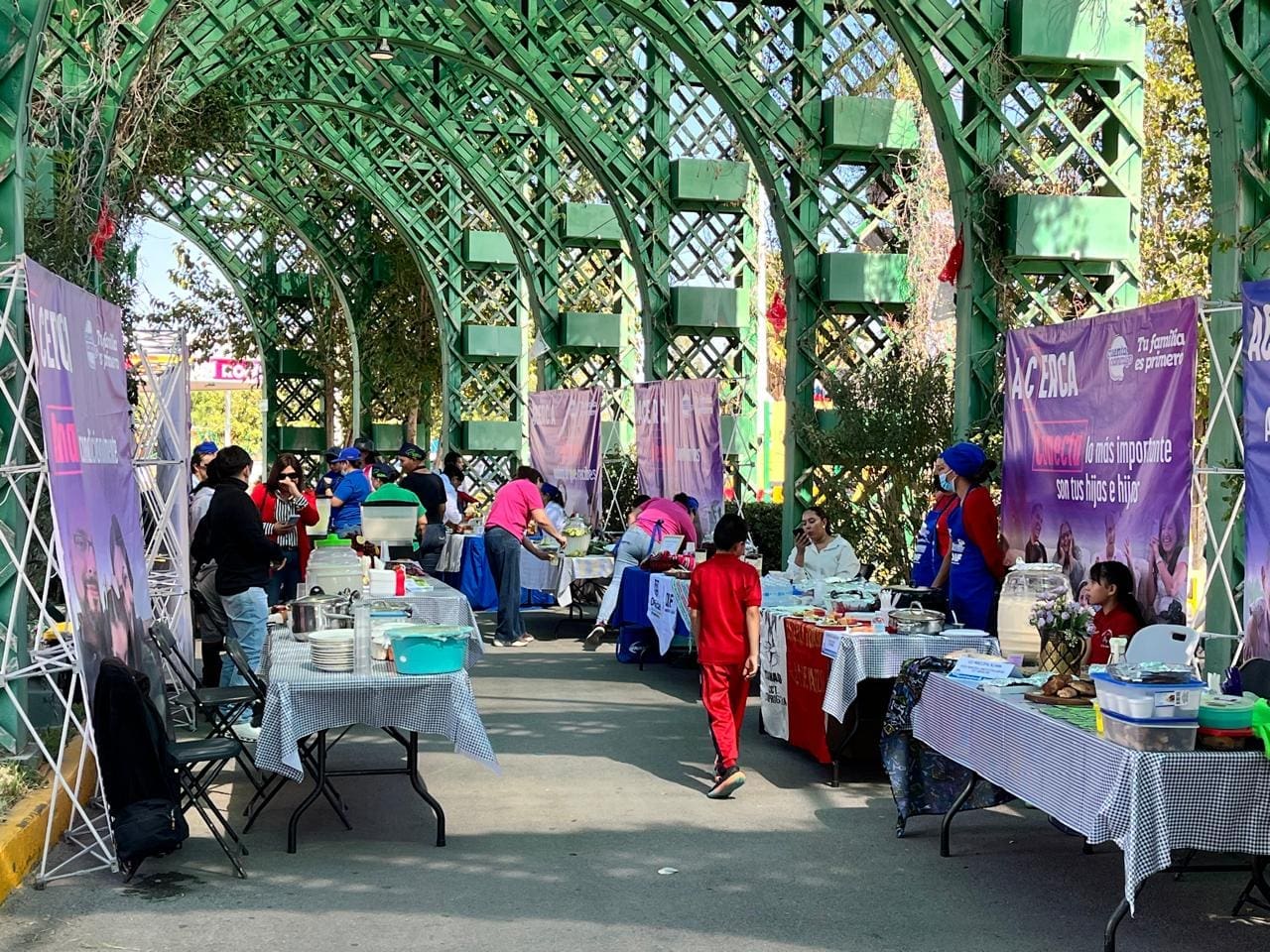 WhatsApp Image 2025-10-16 at 12.29.56 PM