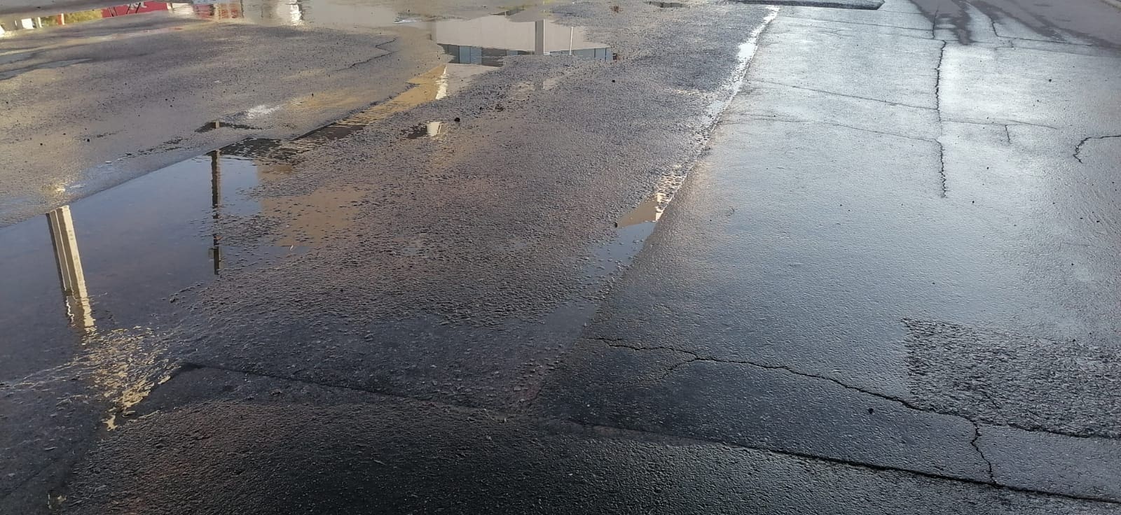 WhatsApp Image 2025-10-17 at 8.35.32 AM