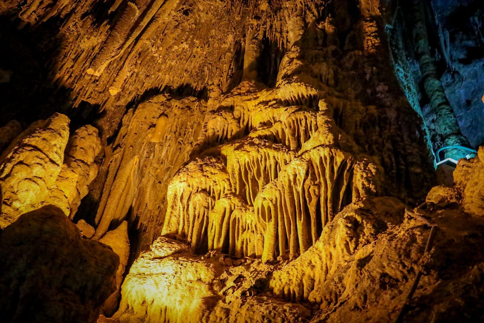 WhatsApp Image 2025-10-22 at 1.04.58 PM