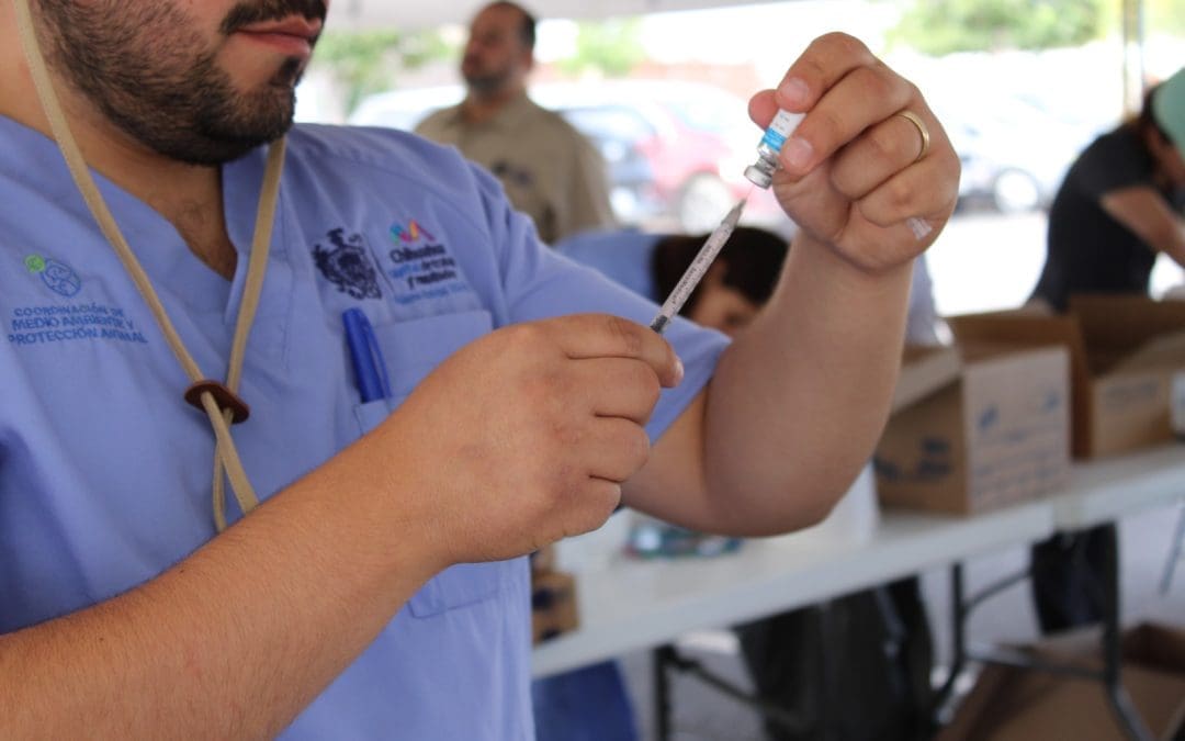 Invitan a feria de servicios para mascotas en Wellness Fest 2025