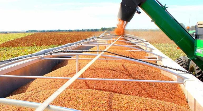 Productores pierden hasta 40% de inversión por competencia desleal: Yako Rodríguez