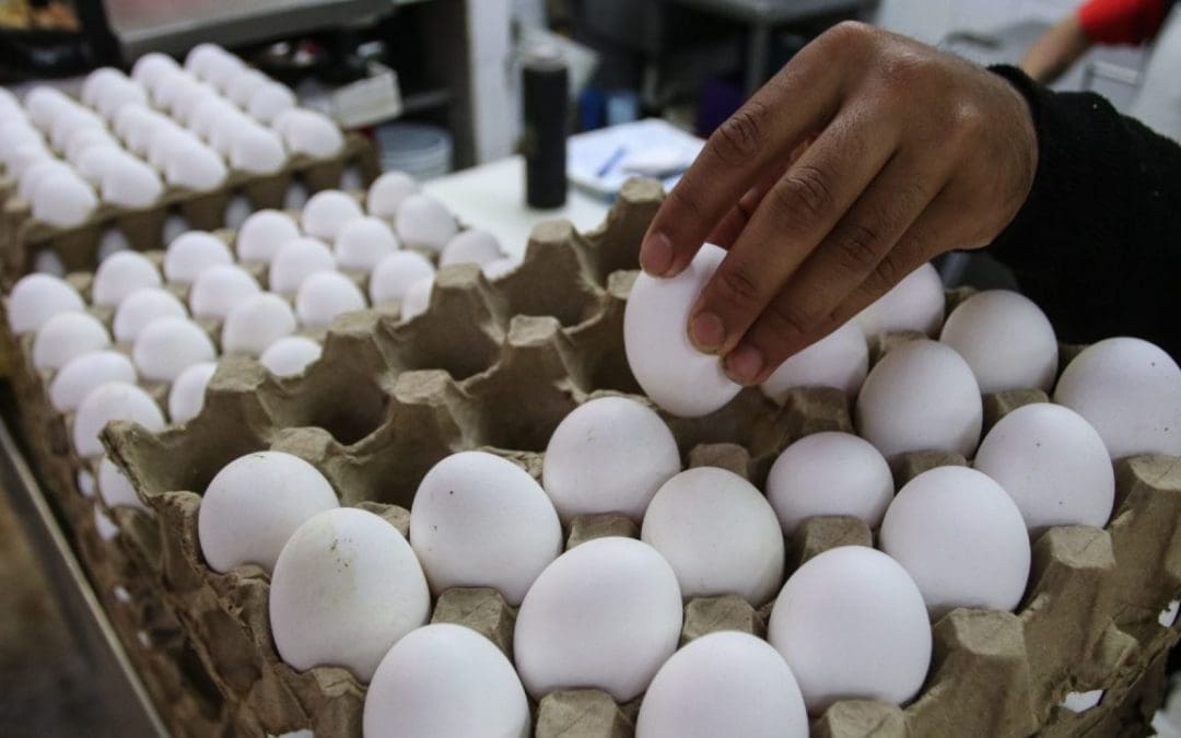 Baja la Inflación en la primera quincena de octubre, impulsada por menores precios del huevo, pollo y verduras