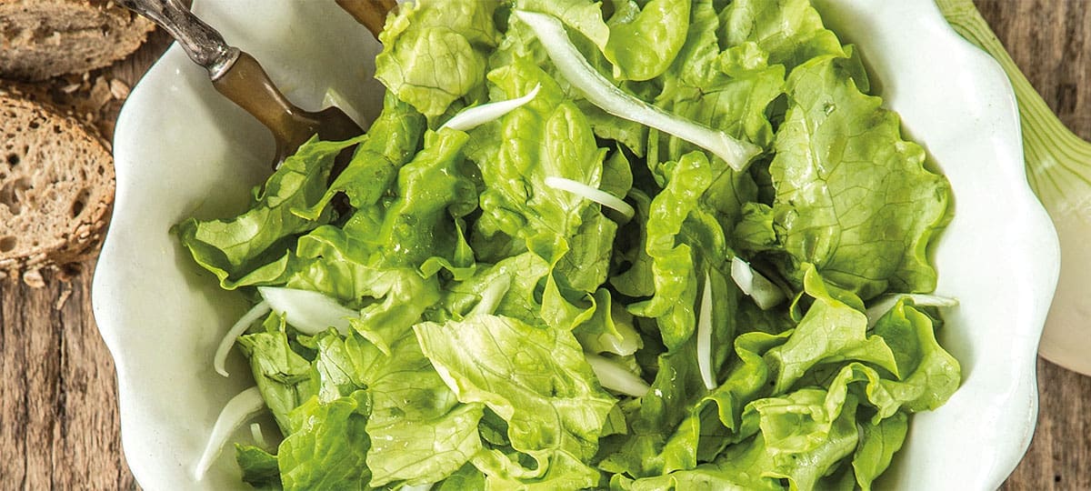 lechuga
